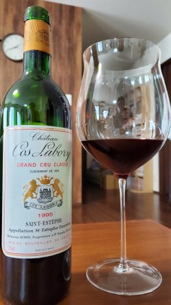 画像1: 名門 シャトー・コス・ラボリー1995年
