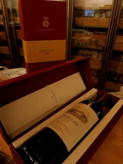 画像1: 蔵出しテヌータ・デル・オルネッライア750mL 2009年 正規品・化粧箱入り