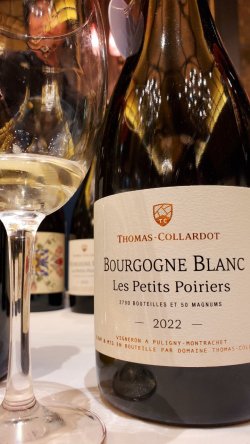 画像1: ドメーヌ・トマ・コラルド ブルゴーニュ コート ドール ブラン レ プティ ポワリエ2022年
