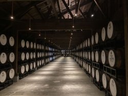 画像1: 若鶴酒造　三郎丸VIII　 700ｍｌ