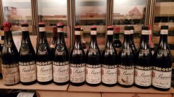 画像2: 希少！バローロリゼルヴァ・ボルゴーニョ(上級品)1979年 