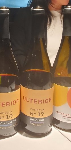 画像2: 旨い！ウルテリオール・グラシアーノ2018年(個性派)