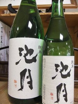 画像1: 池月 純米　能登の地酒