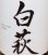 画像1: 満寿泉 上市町産・白萩　純米酒 (1)