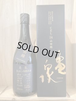 画像1: 亀泉酒造　亀泉純米大吟醸原酒 CEL-24 山田錦720ml