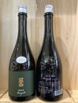 画像1: 山形県　水戸部酒造　山形正宗バニュルス樽熟成 梅酒2017