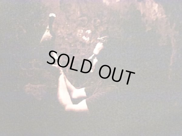 画像3: 蔵出しドメーヌ・デュデノーダン1966年(白ワイン) 送料無料 (3)