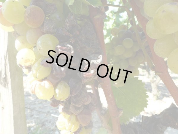 画像3: 貴腐ワインの最高峰　パーカー100点 トカイエッセンシア 1993年 (3)