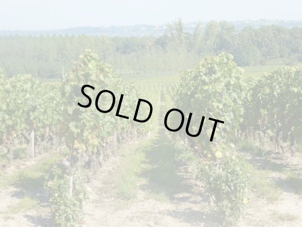 画像2: 貴腐ワインの最高峰　パーカー100点 トカイエッセンシア 1993年 (2)