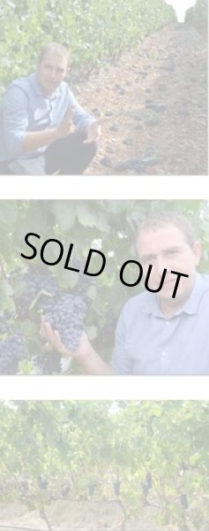 画像2: ラングドック・ルーションドメーヌ・カザルヴィエル ヴァンド・ヌーヴォー ルージュ&ブラン ミレジム2019年 (2)