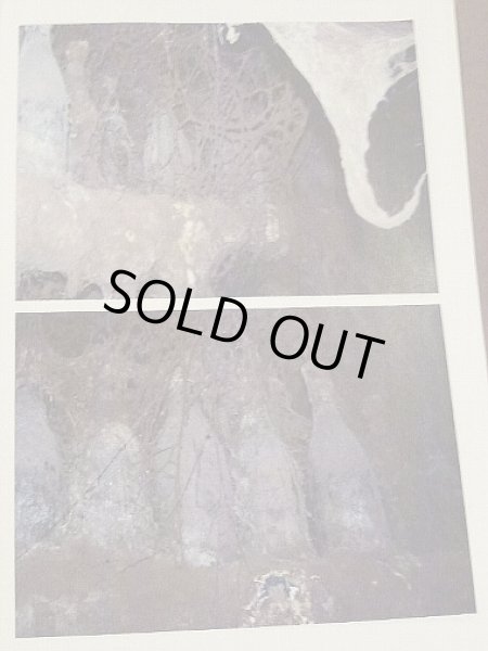 画像3: 1905〜1907年 マール・ド・ブルゴーニュ / ドゥデ・ノーダン 750ml Marc De Bourgogne / Doudet Naudin  (3)