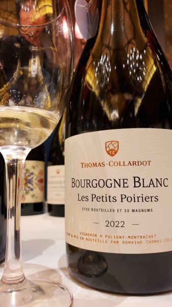 画像1: ドメーヌ・トマ・コラルド ブルゴーニュ コート ドール ブラン レ プティ ポワリエ2022年 (1)