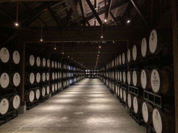 画像1: 若鶴酒造　三郎丸VIII　 700ｍｌ (1)